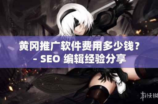 黄冈推广软件费用多少钱？- SEO 编辑经验分享