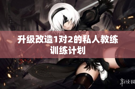 升级改造1对2的私人教练训练计划