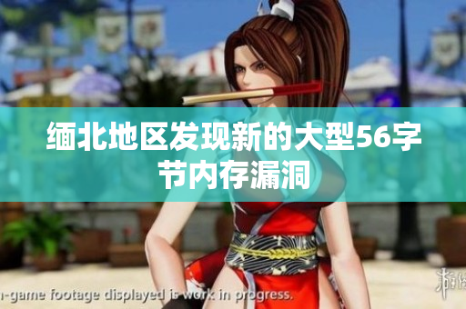 缅北地区发现新的大型56字节内存漏洞