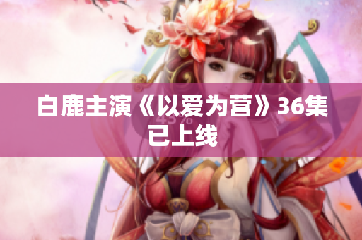白鹿主演《以爱为营》36集已上线