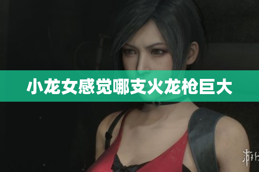 小龙女感觉哪支火龙枪巨大
