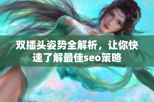 双插头姿势全解析，让你快速了解最佳seo策略