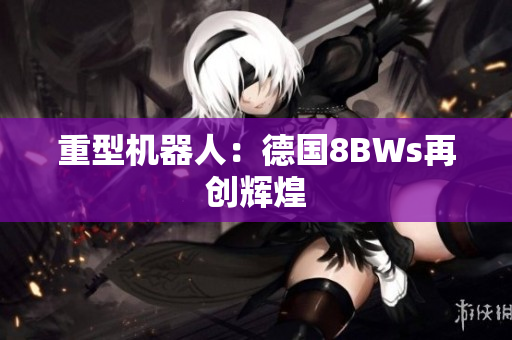 重型机器人：德国8BWs再创辉煌