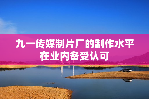 九一传媒制片厂的制作水平在业内备受认可