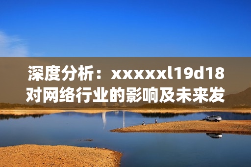 深度分析：xxxxxl19d18对网络行业的影响及未来发展趋势)