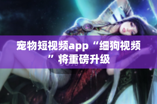 宠物短视频app“细狗视频”将重磅升级
