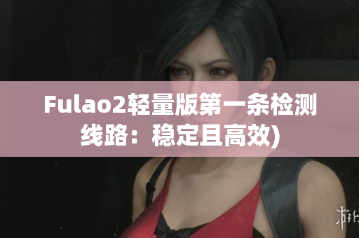 Fulao2轻量版第一条检测线路：稳定且高效)