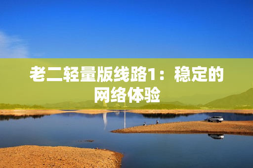 老二轻量版线路1：稳定的网络体验