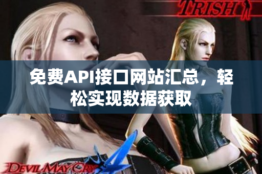 免费API接口网站汇总，轻松实现数据获取