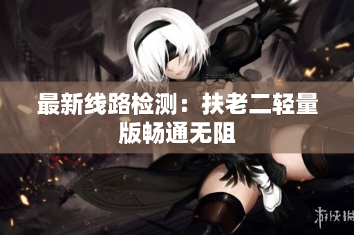 最新线路检测：扶老二轻量版畅通无阻