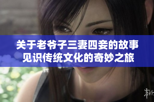 关于老爷子三妻四妾的故事 见识传统文化的奇妙之旅