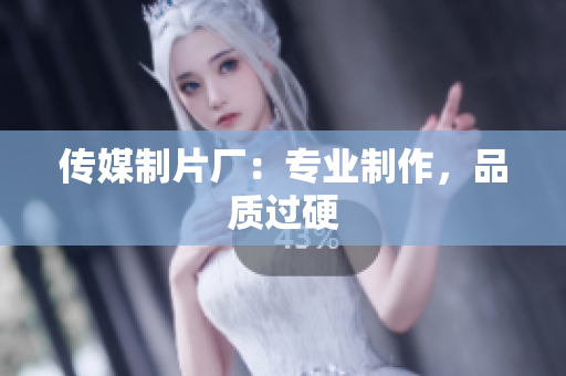 传媒制片厂：专业制作，品质过硬