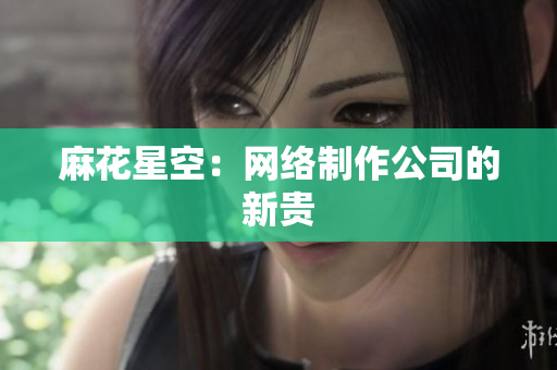 麻花星空：网络制作公司的新贵