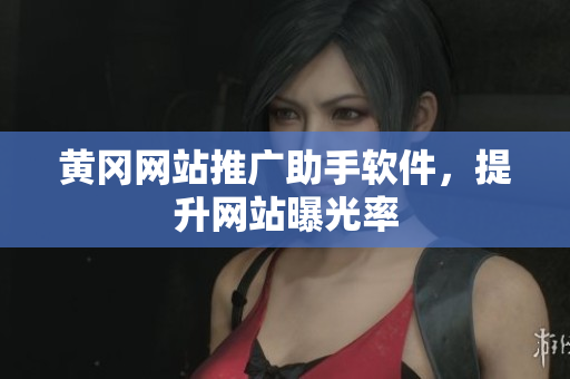 黄冈网站推广助手软件，提升网站曝光率