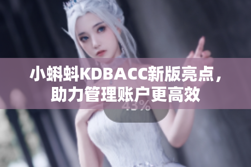 小蝌蚪KDBACC新版亮点，助力管理账户更高效