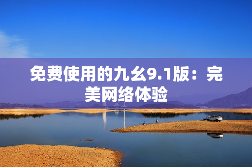 免费使用的九幺9.1版：完美网络体验