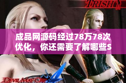 成品网源码经过78万78次优化，你还需要了解哪些SEO技巧？
