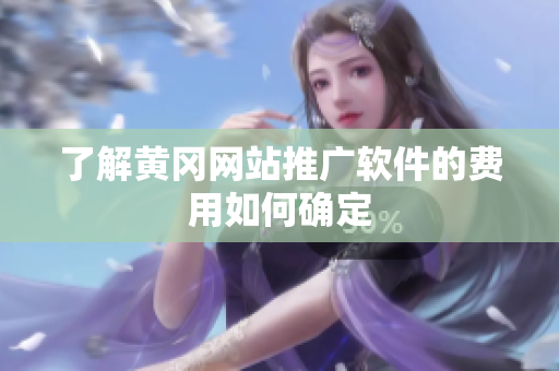 了解黄冈网站推广软件的费用如何确定