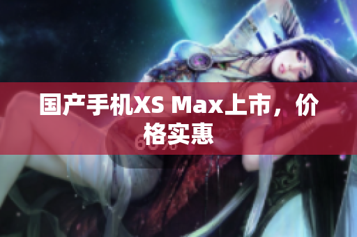 国产手机XS Max上市，价格实惠