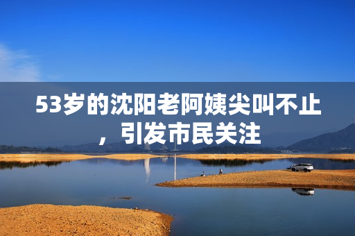 53岁的沈阳老阿姨尖叫不止，引发市民关注