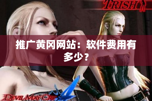 推广黄冈网站：软件费用有多少？