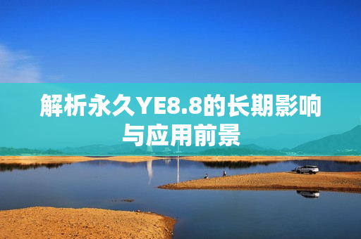 解析永久YE8.8的长期影响与应用前景