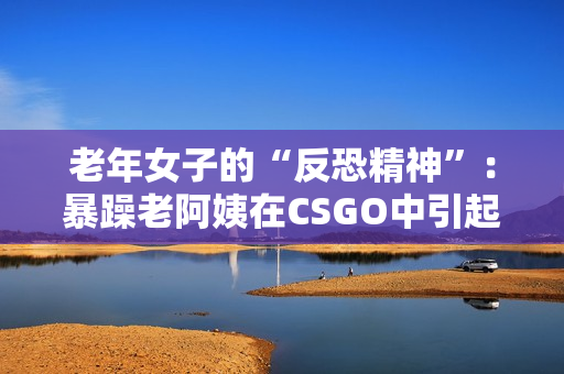 老年女子的“反恐精神”：暴躁老阿姨在CSGO中引起轰动