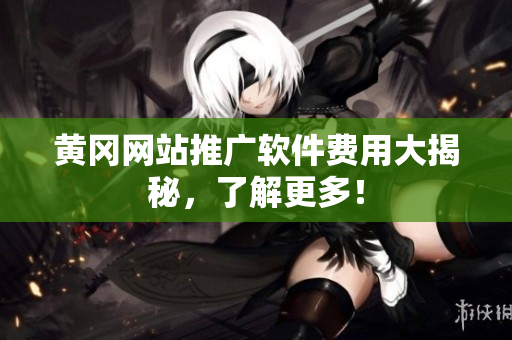 黄冈网站推广软件费用大揭秘，了解更多！