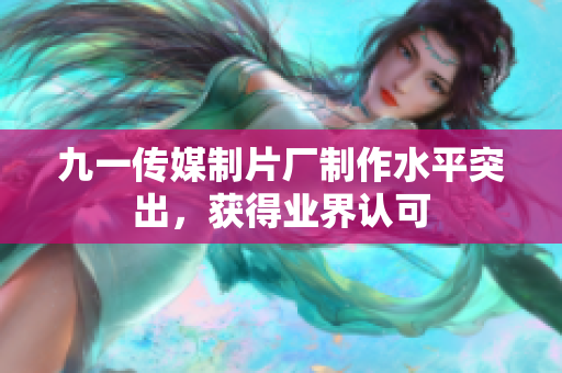 九一传媒制片厂制作水平突出，获得业界认可