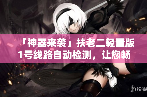 「神器来袭」扶老二轻量版1号线路自动检测，让您畅游网络世界