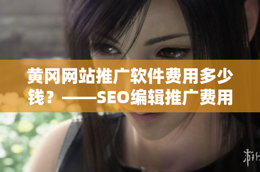 黄冈网站推广软件费用多少钱？——SEO编辑推广费用优化建议