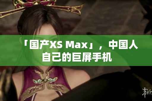 「国产XS Max」，中国人自己的巨屏手机