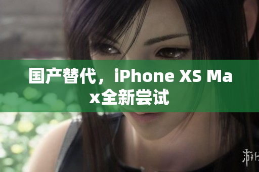 国产替代，iPhone XS Max全新尝试