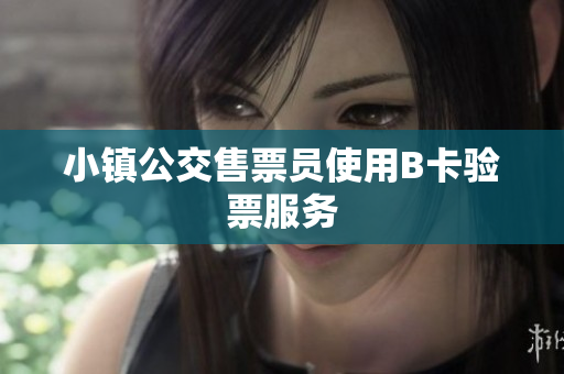 小镇公交售票员使用B卡验票服务