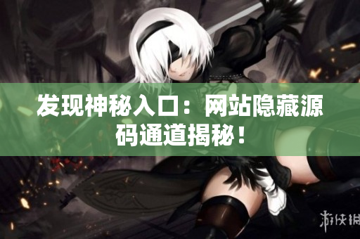 发现神秘入口：网站隐藏源码通道揭秘！