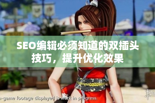 SEO编辑必须知道的双插头技巧，提升优化效果