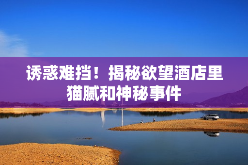 诱惑难挡！揭秘欲望酒店里猫腻和神秘事件