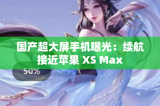 国产超大屏手机曝光：续航接近苹果 XS Max