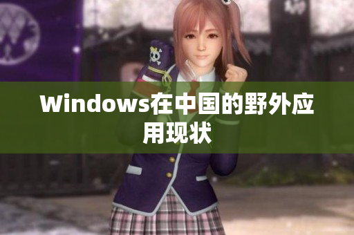 Windows在中国的野外应用现状