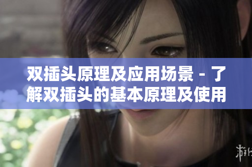 双插头原理及应用场景 - 了解双插头的基本原理及使用技巧