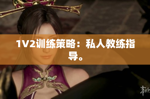 1V2训练策略：私人教练指导。