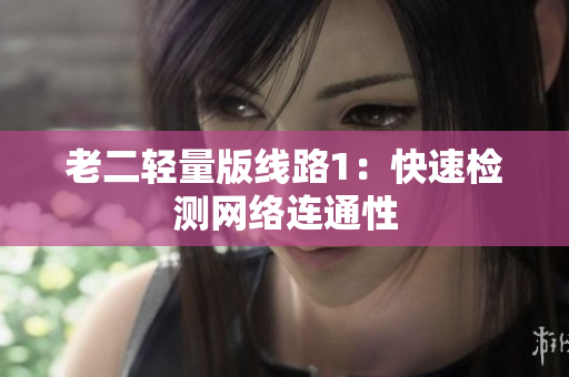 老二轻量版线路1：快速检测网络连通性