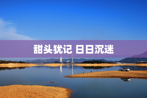 甜头犹记 日日沉迷