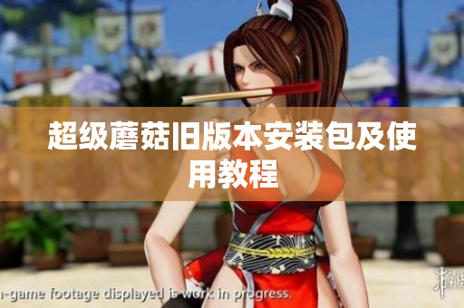 超级蘑菇旧版本安装包及使用教程