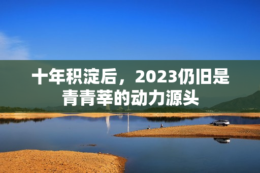 十年积淀后，2023仍旧是青青莘的动力源头