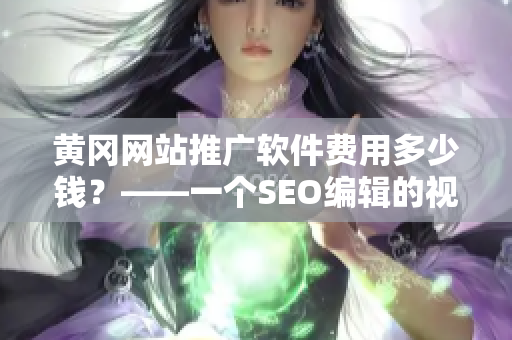 黄冈网站推广软件费用多少钱？——一个SEO编辑的视角