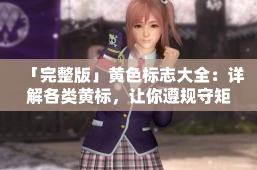 「完整版」黄色标志大全：详解各类黄标，让你遵规守矩！