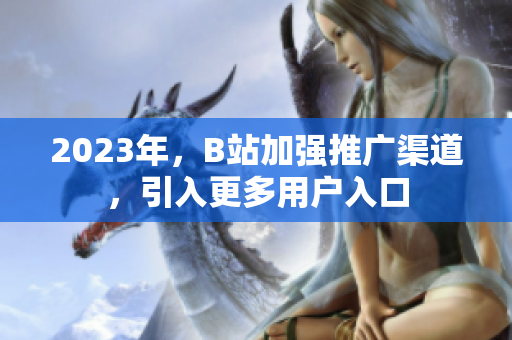 2023年，B站加强推广渠道，引入更多用户入口