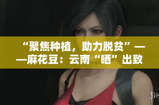 “聚焦种植，助力脱贫”——麻花豆：云南“晒”出致富新路径