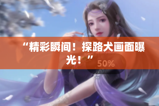 “精彩瞬间！探路犬画面曝光！”